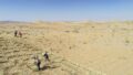 中国「日照量多くて土地代タダの砂漠に太陽光パネル敷き詰めたら大儲けやんけ！」結果、日陰に草が生え
